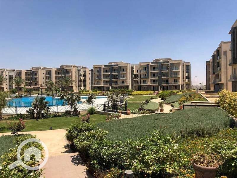 11 172997864_476959923726976_6767230007404586083_n. jpg