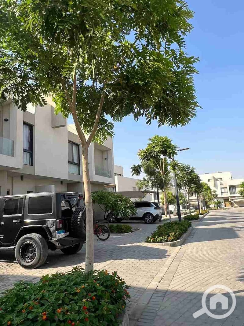 5 IMG_20251010_185644_787. jpg