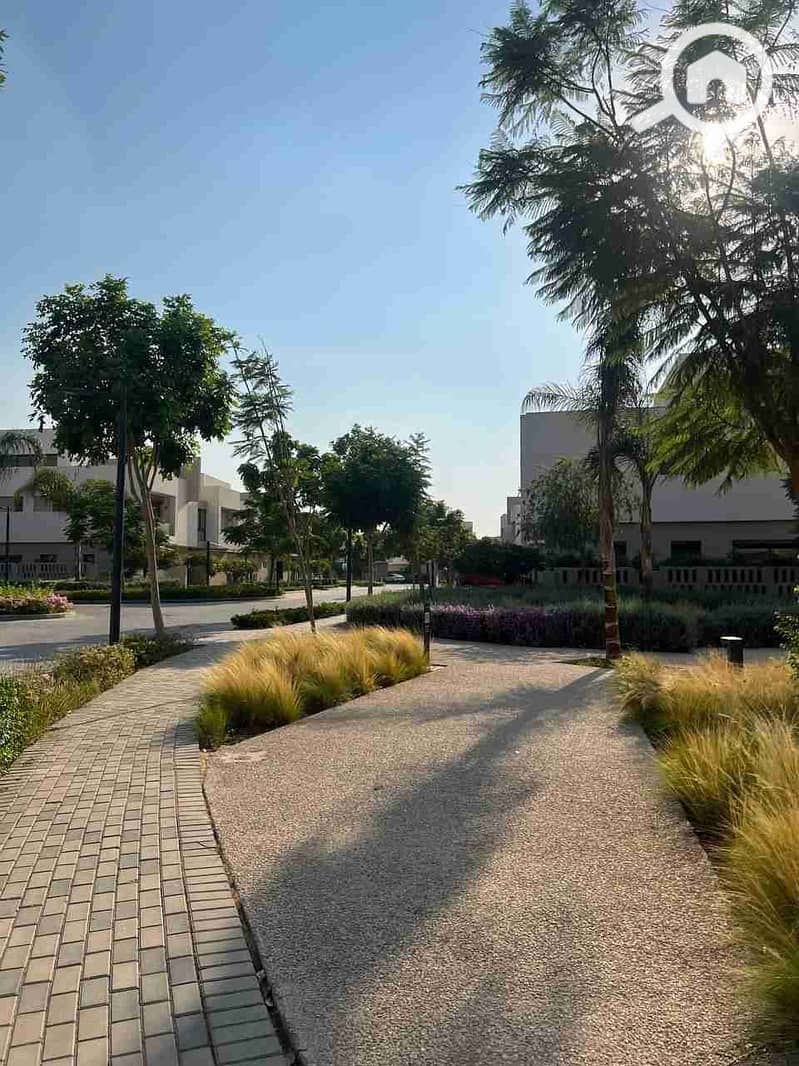 3 IMG_20251010_184524_707. jpg