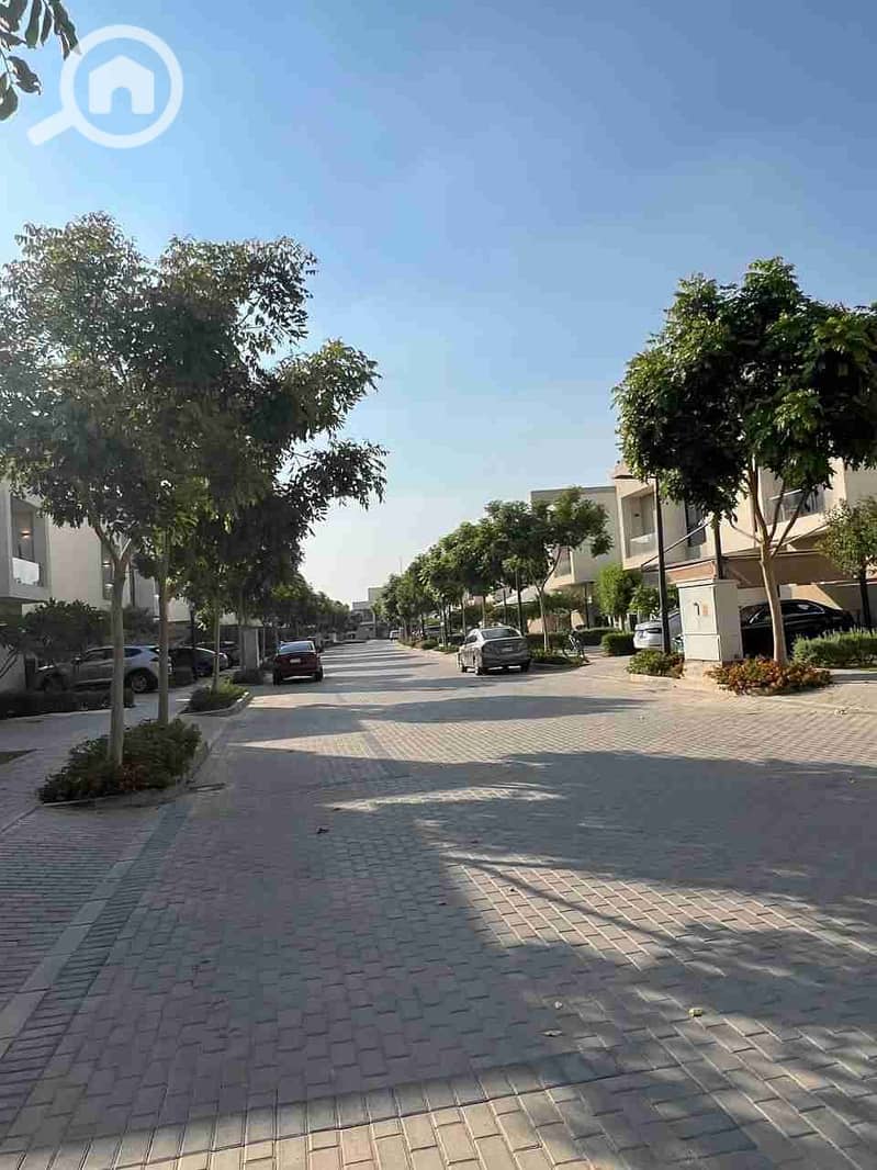 4 IMG_20251010_184524_964. jpg