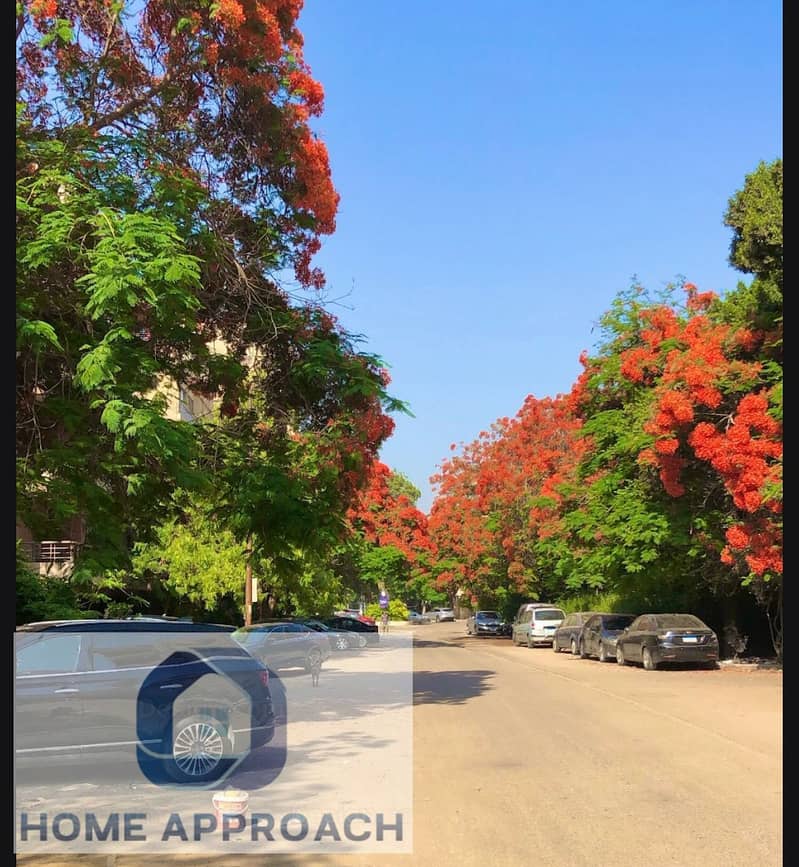 4 IMG-20251121-WA0117. jpg