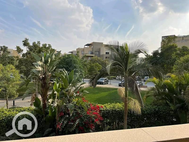 4 571010580_122142532064922617_5664077437942438062_n. jpg