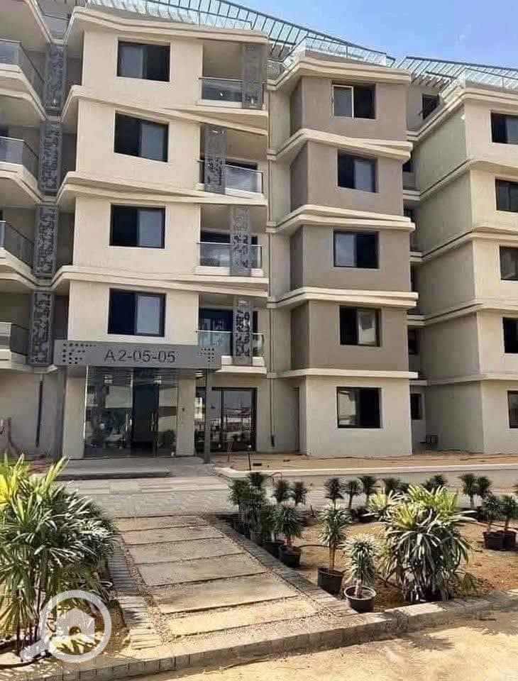 9 560615137_122156525432764402_9202627760009718038_n. jpg