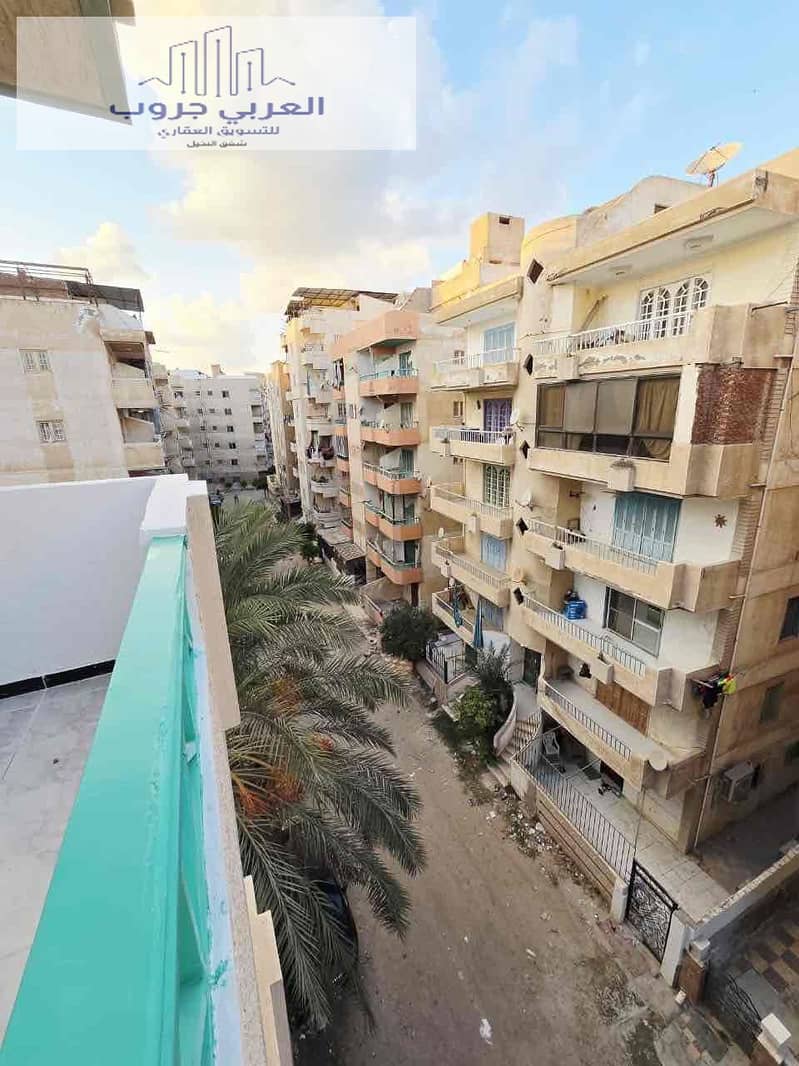 4 1ed89061-dbfd-4dce-a260-49ea6ec02070. jpg