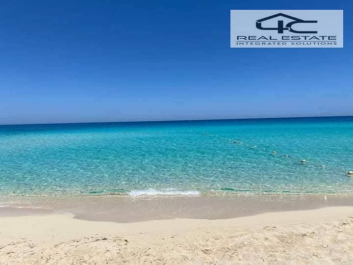 4 WhatsApp Image 2025-04-19 at 2.51. 54 PM. jpeg