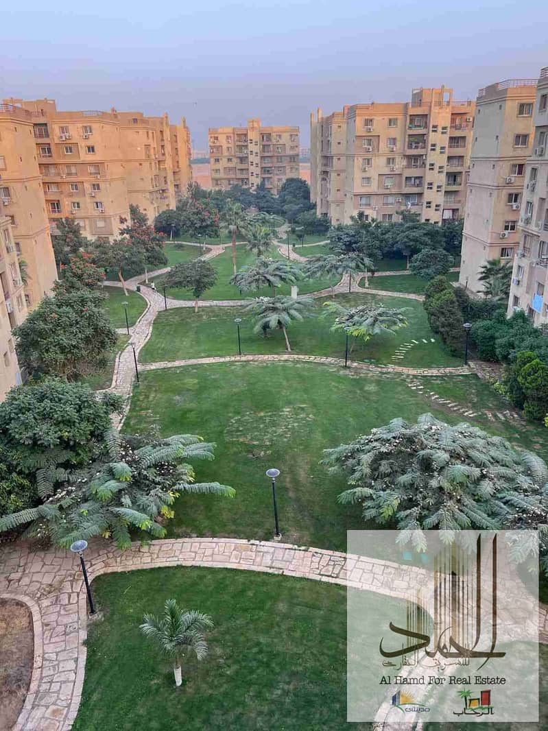 1000326497. jpg 1000326497. jpg