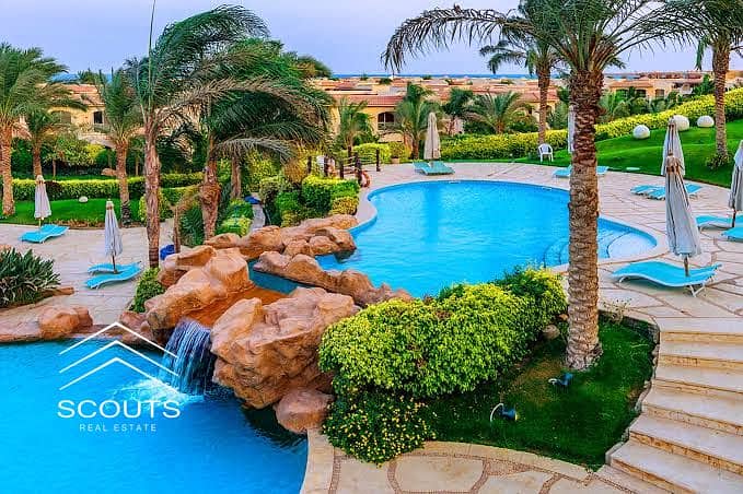 IMG_0494. jpeg IMG_0494. jpeg