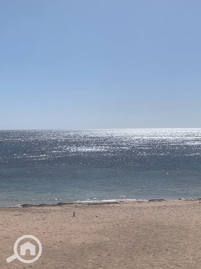 13 1e2bcd88-2d54-4fdc-b04d-5456ba8351cd. jpg