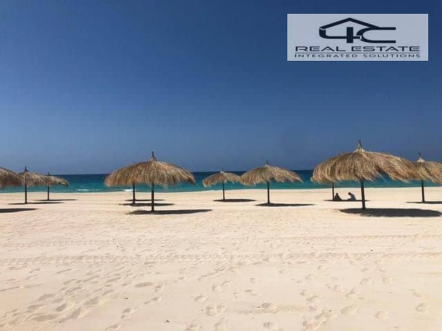 3 WhatsApp Image 2025-03-11 at 4.45. 27 PM (17). jpeg