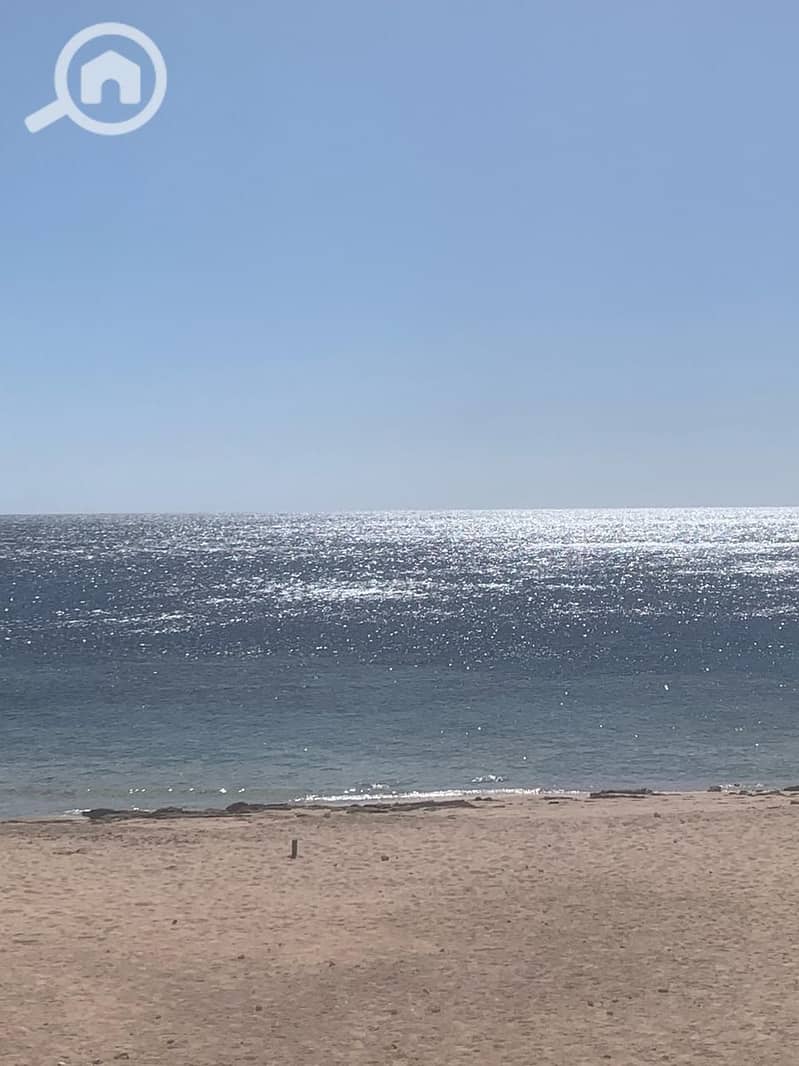 13 1e2bcd88-2d54-4fdc-b04d-5456ba8351cd. jpg