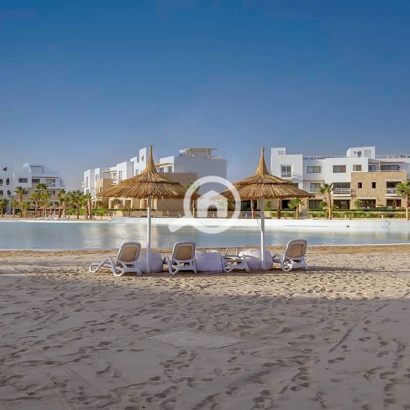 3 559047046_122201144414049030_5824284175534411076_n. jpg