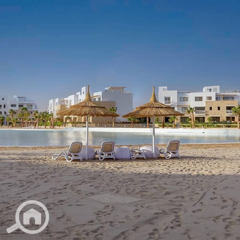 4 559047046_122201144414049030_5824284175534411076_n. jpg