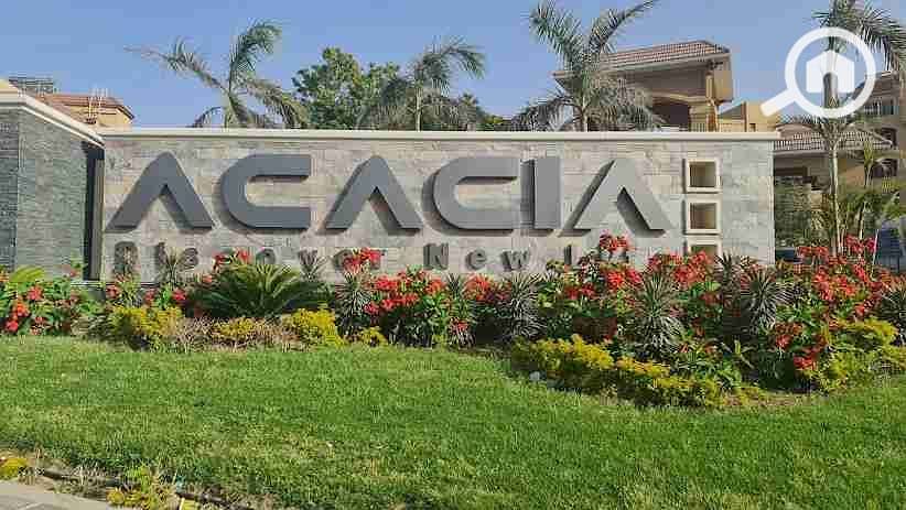 unnamed-1. webp unnamed-1. webp