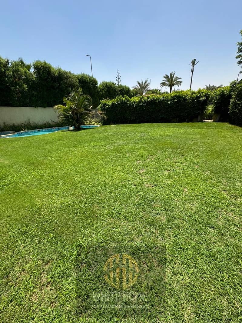 3 94867334-7027-408d-bfc1-443d9b20b0d9. jpeg