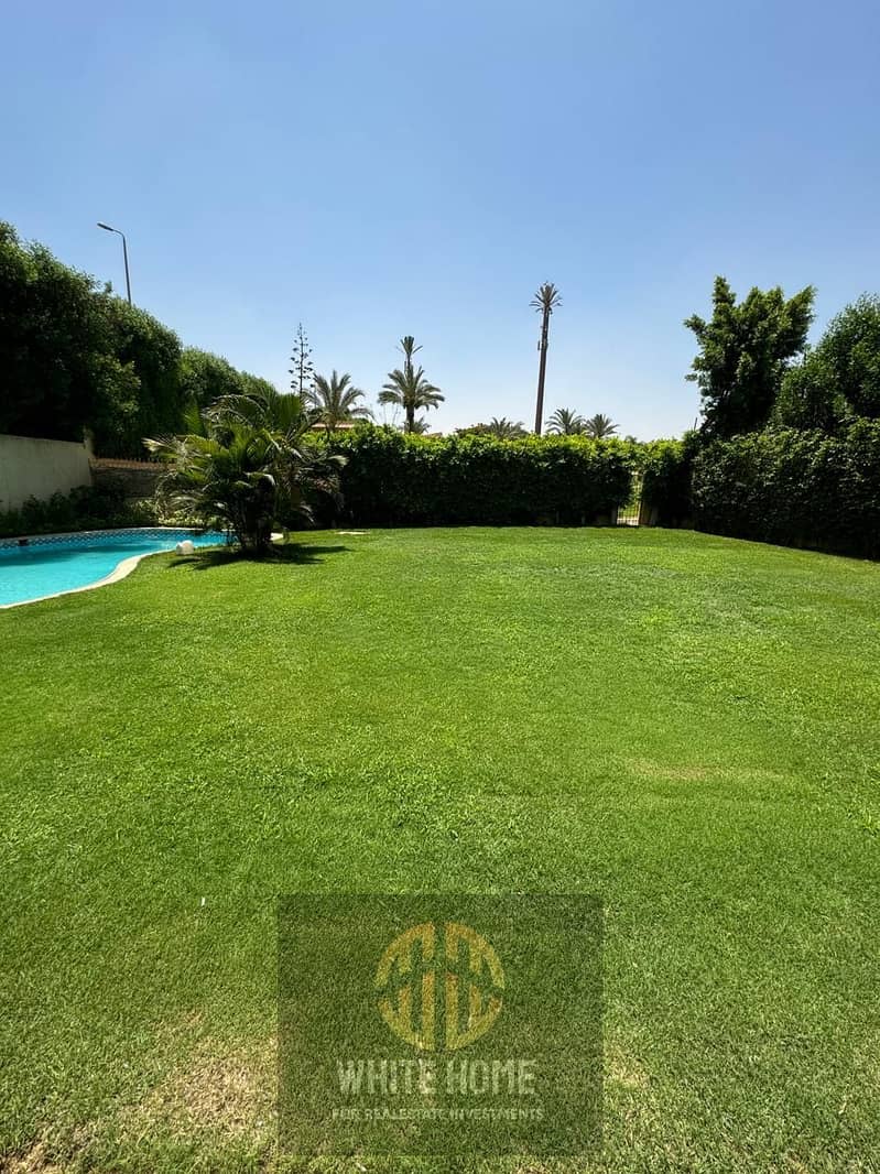 21 ba117f93-1d40-49e2-b7f3-015866cea37b. jpeg