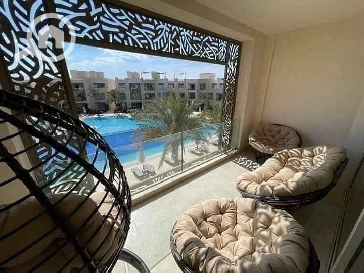 4 557919376_1325464529018434_7484166284225526940_n. jpg