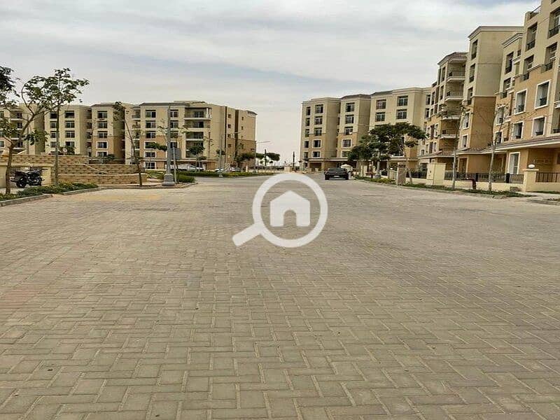 4 429668077_253760257791125_2034579512478451161_n. jpg