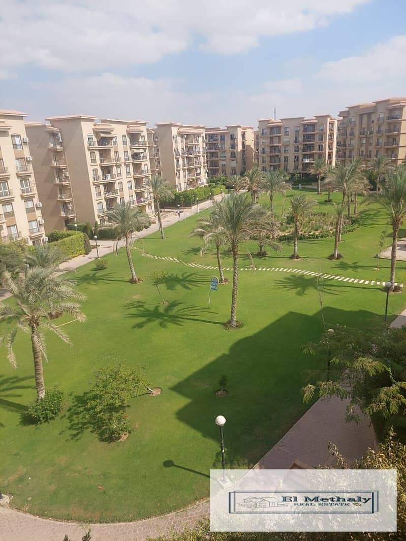 2 318c769b-6ce0-4709-9e74-9fa3c684d954. jpg