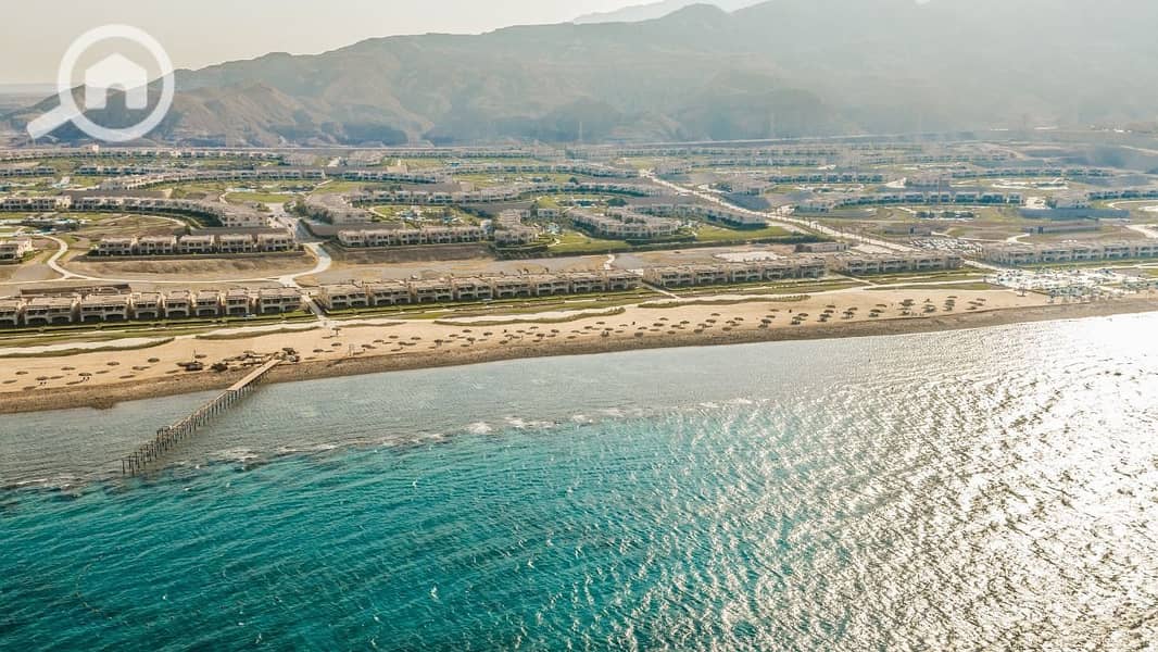 8 photo_2025-03-24_22-12-06. jpg