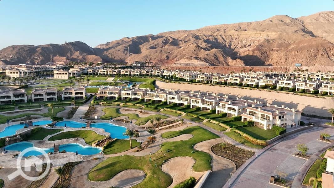 9 photo_2025-03-24_22-12-15. jpg