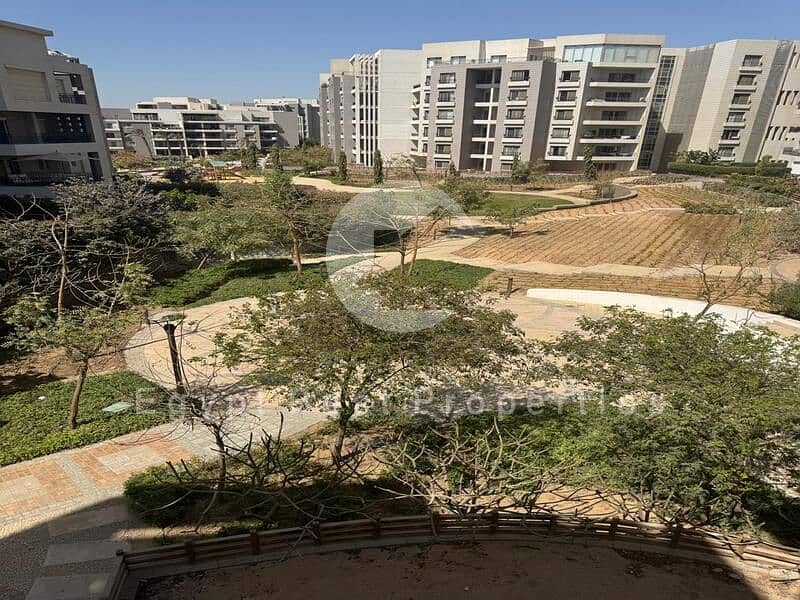 4 a151decd-7581-4d58-992b-e11830e33f37. jpg