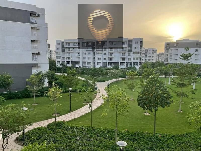 IMG_1431. JPG IMG_1431. JPG