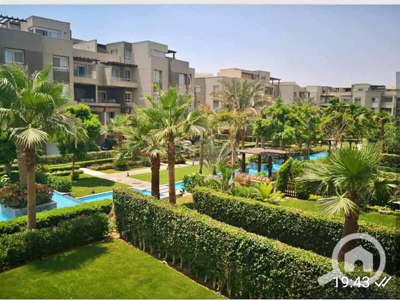 10 92484754_2463526337245808_5998599471624093696_n. jpg