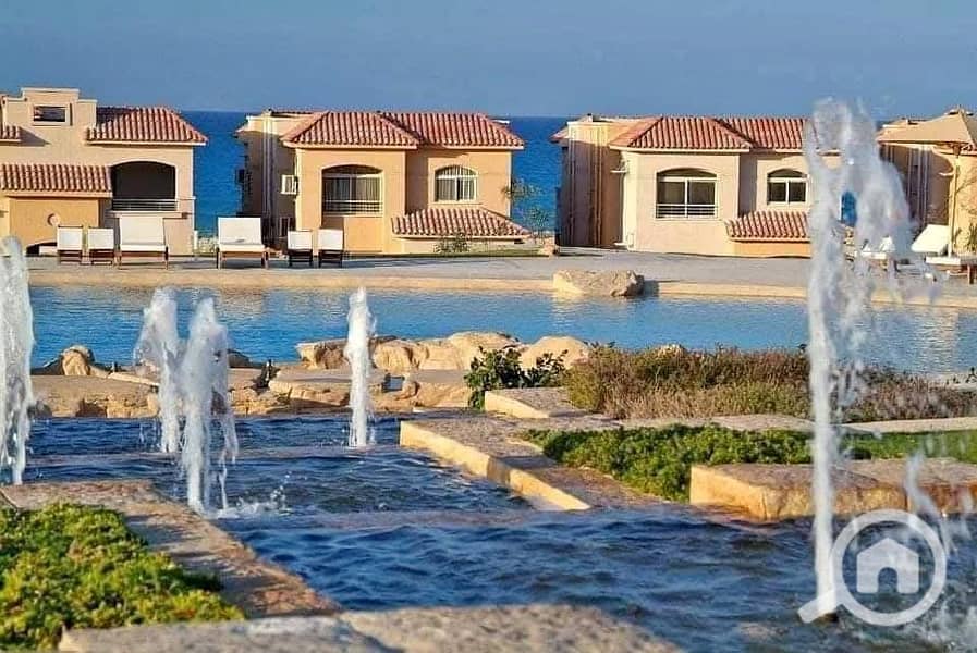 9 559141281_10238592908190897_732973511569660265_n. jpg