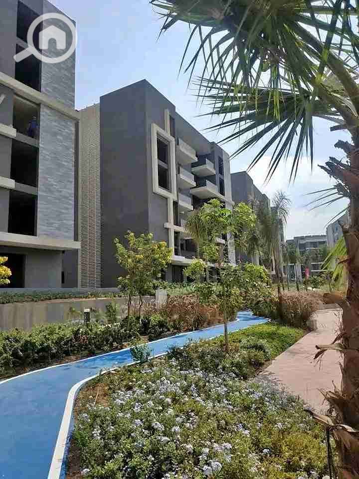 2 1763735033503. jpg