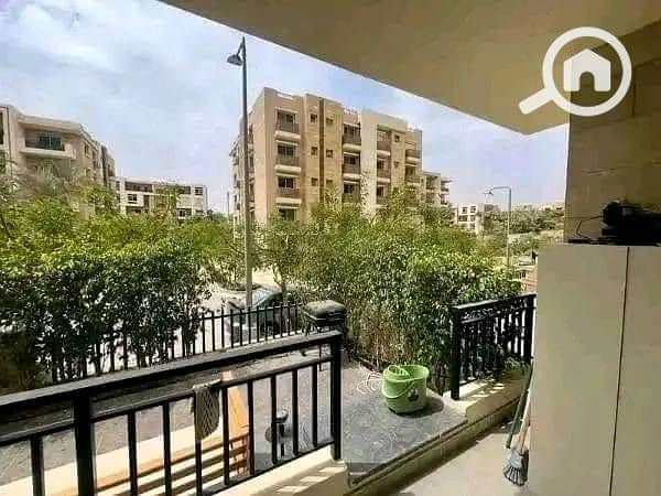 8 558940040_122191592738563977_4237103682170487028_n. jpg