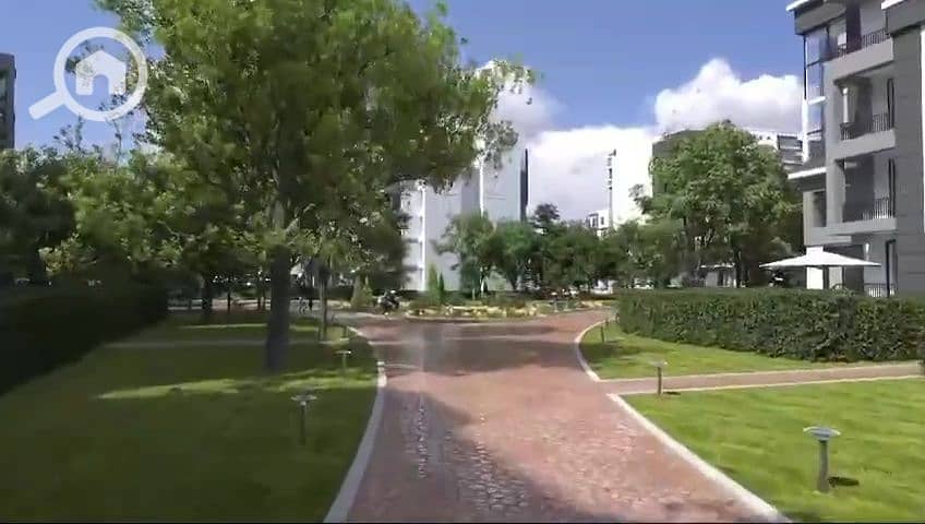 5 vlcsnap-2025-01-12-15h48m14s554. jpg