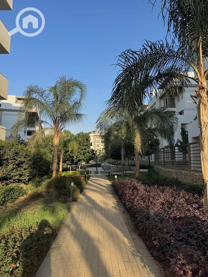 6 582788782_805833882324572_8542008260466180849_n. jpg