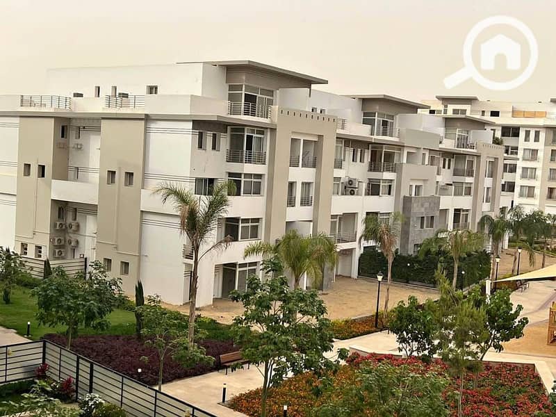 10 568644868_1279749890504240_8446533741021529653_n. jpg