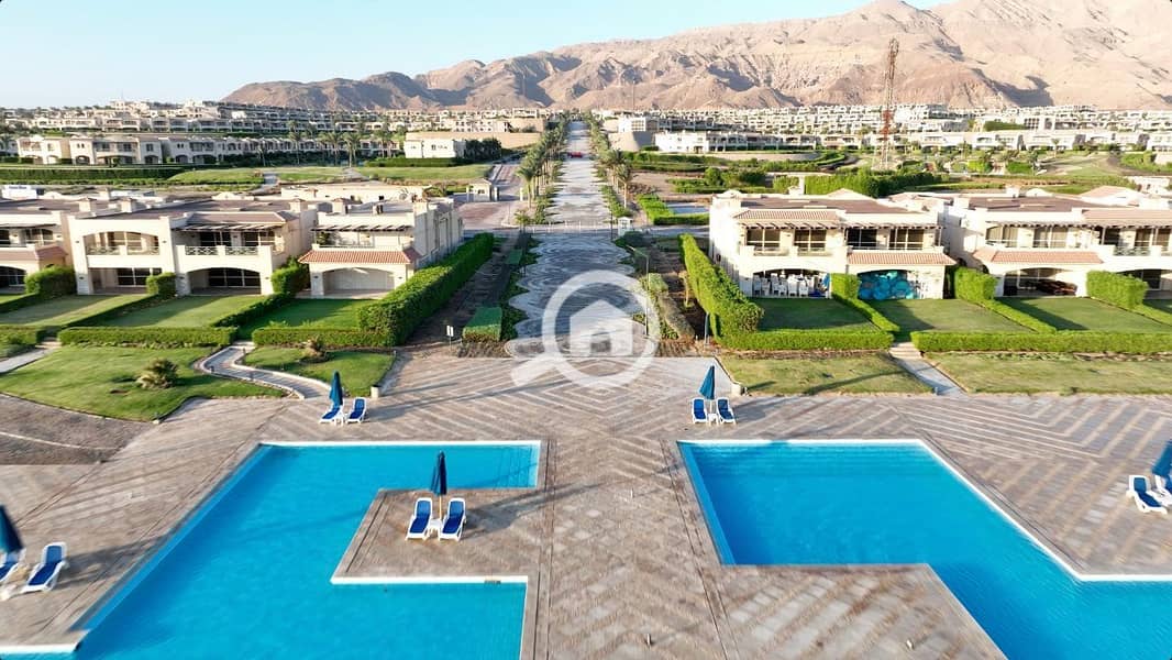 7 photo_2025-02-19_04-49-29. jpg