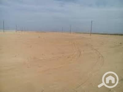 Other Commercial for Rent in Mokattam, Cairo - ارض للايجار ٦٠٠ متر علي شارع ٩ المقطم