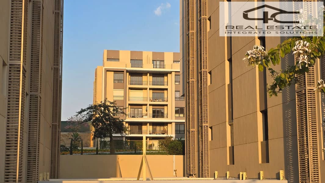 7 20251117_160256. jpg