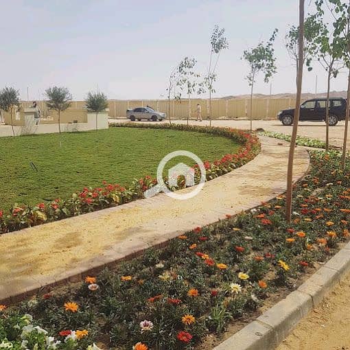 7 image_8ed6ef57-b5af-4eb0-a1fe-2dab5fa3a3ed20210420_203304. jpg