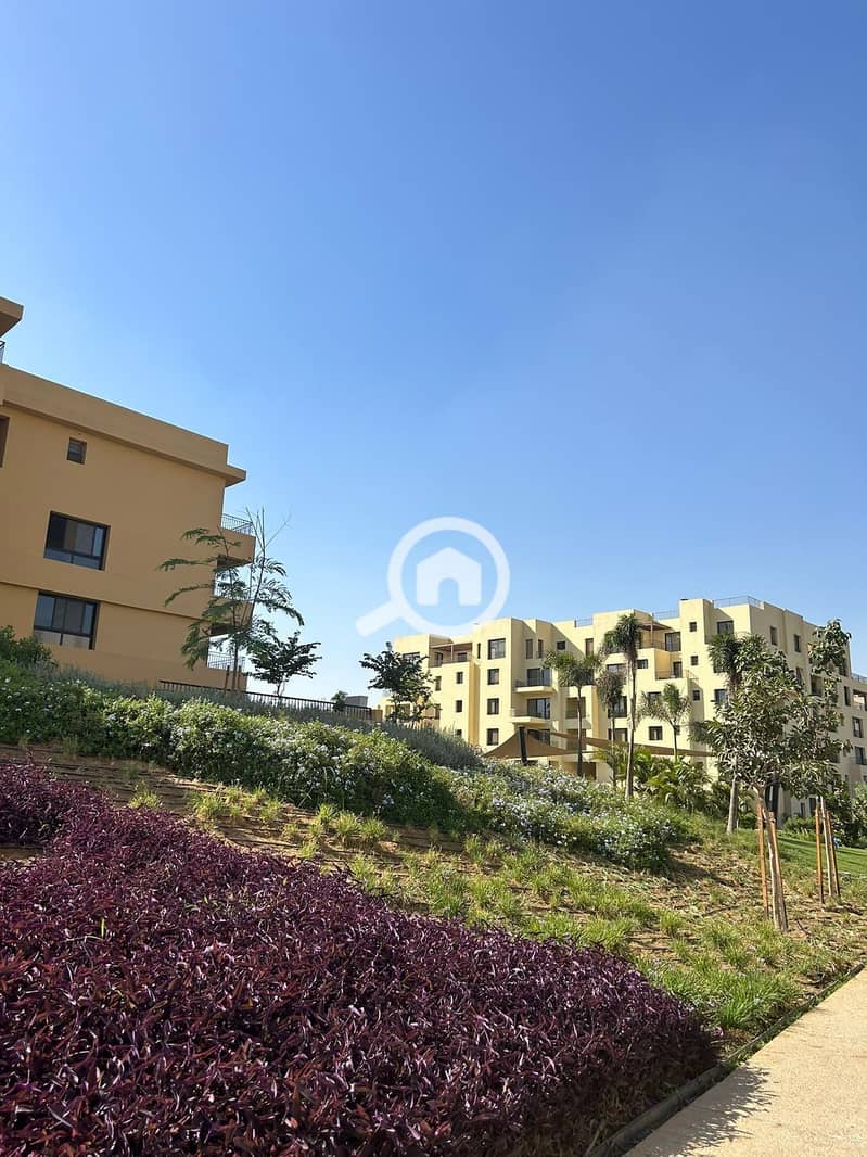 5 WhatsApp Image 2025-11-11 at 17.25. 12 (1). jpeg