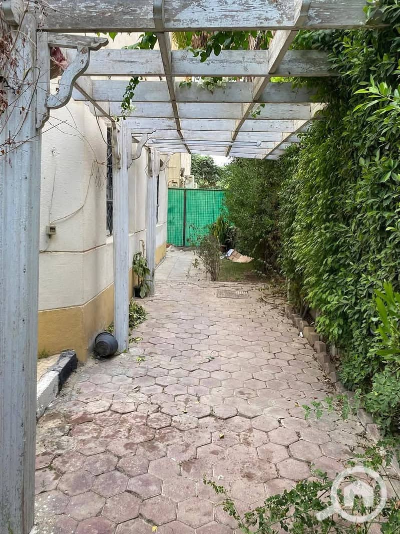 8 585280138_872105645352698_1723267678759034555_n. jpg