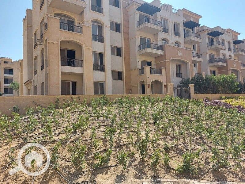 7 WhatsApp Image 2025-11-21 at 17.06. 43 (2). jpeg