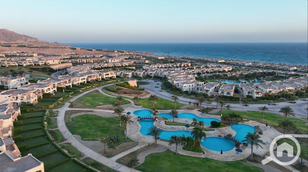 5 photo_2025-03-24_22-12-00. jpg