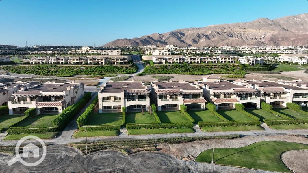 9 photo_2025-03-24_22-12-12. jpg