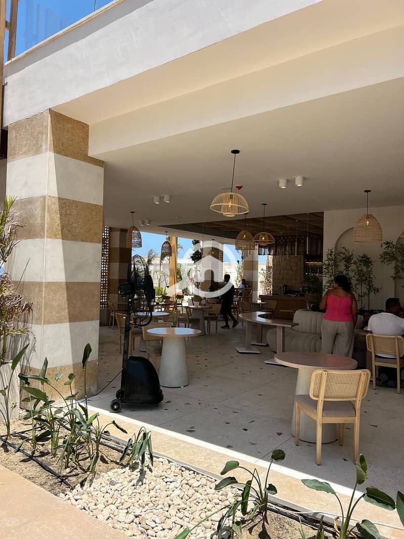 9 photo_2025-04-18_19-44-32. jpg