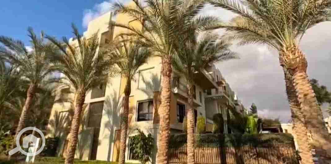 2 20251121_202652. jpg