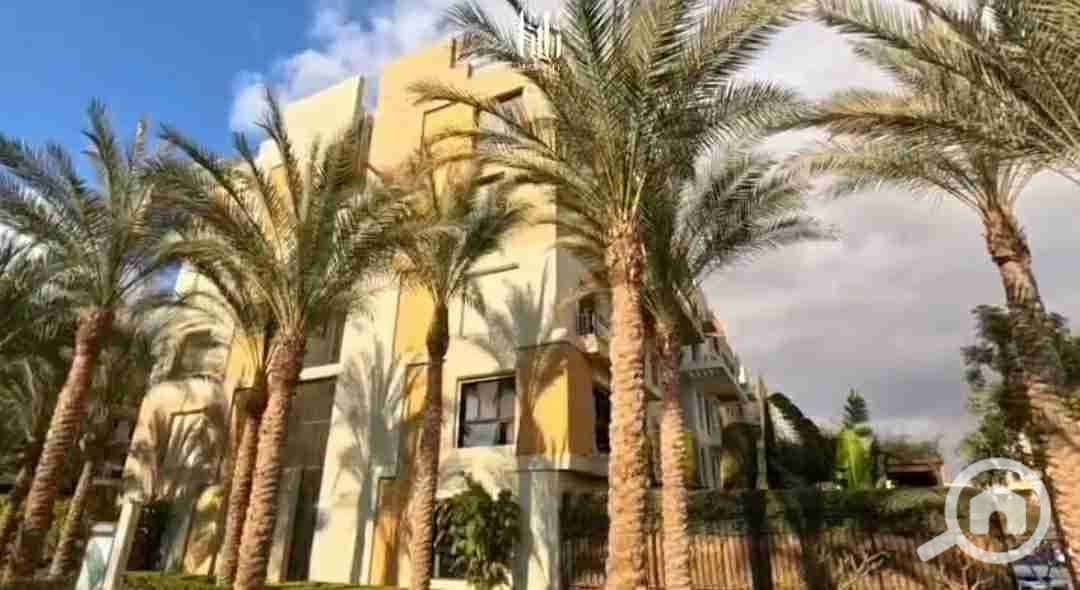 3 20251121_202641. jpg