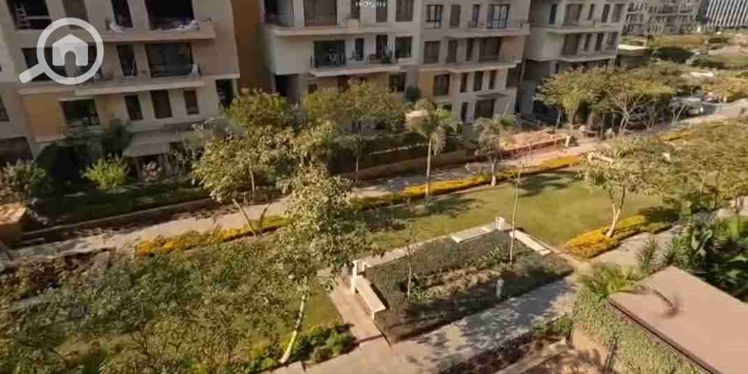 11 20251121_202444. jpg