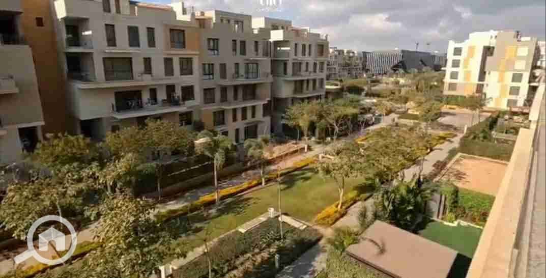 12 20251121_202430. jpg