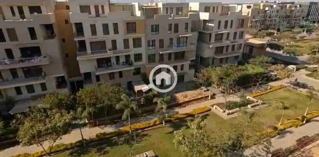 16 20251121_202324. jpg