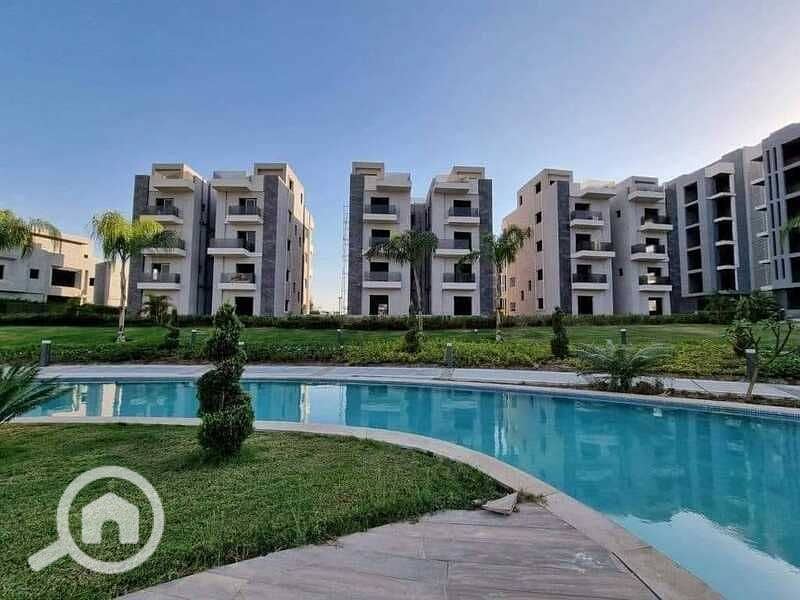 3 429985653_1469353686991546_1717025815482286315_n. jpg