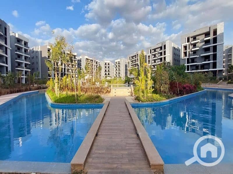 4 407271247_313427004941794_5887411747474909844_n. jpg